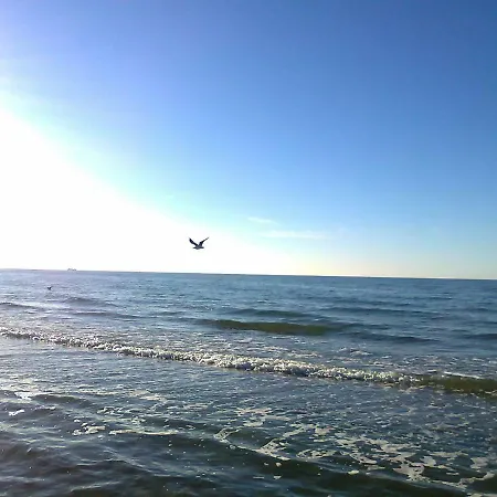 Lovely Bungalow In Hohenkirchen Germany By The Sea Feriehus